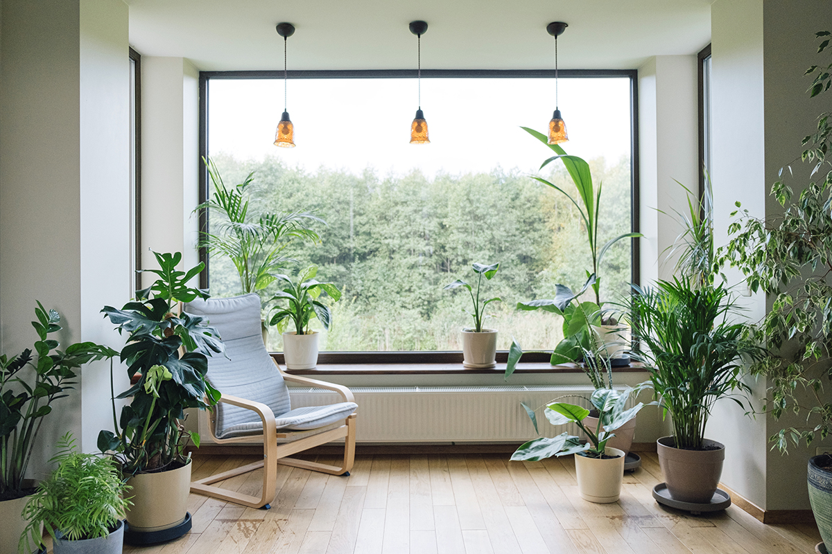 La Floresta Hn - Como nos encantan nuestros maceteros altos 🪴🤩, son  ideales para complementar las esquinas de tu sala 🛋️ con las plantas de tu  elección, también los puedes usar en